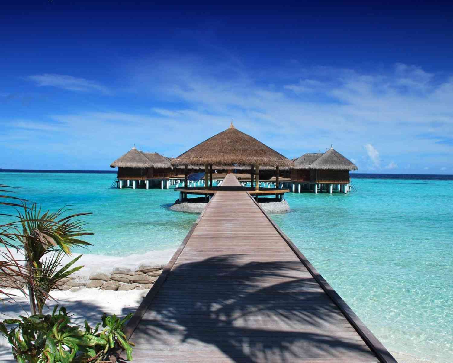 maldives - Image 3