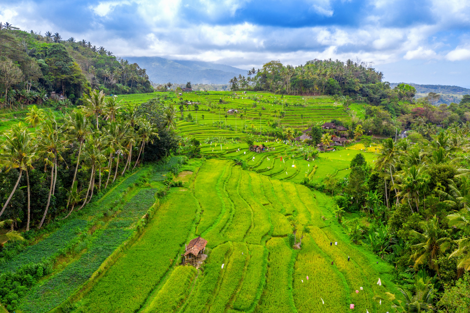 BALI – 6 Nights & 7 Days(2)